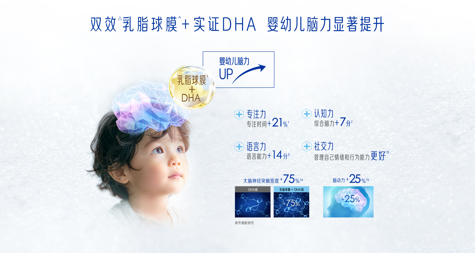 尊龙ag旗舰厅(中国)官方网站铂睿
